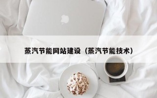 宁夏蒸汽节能网站建设（蒸汽节能技术）